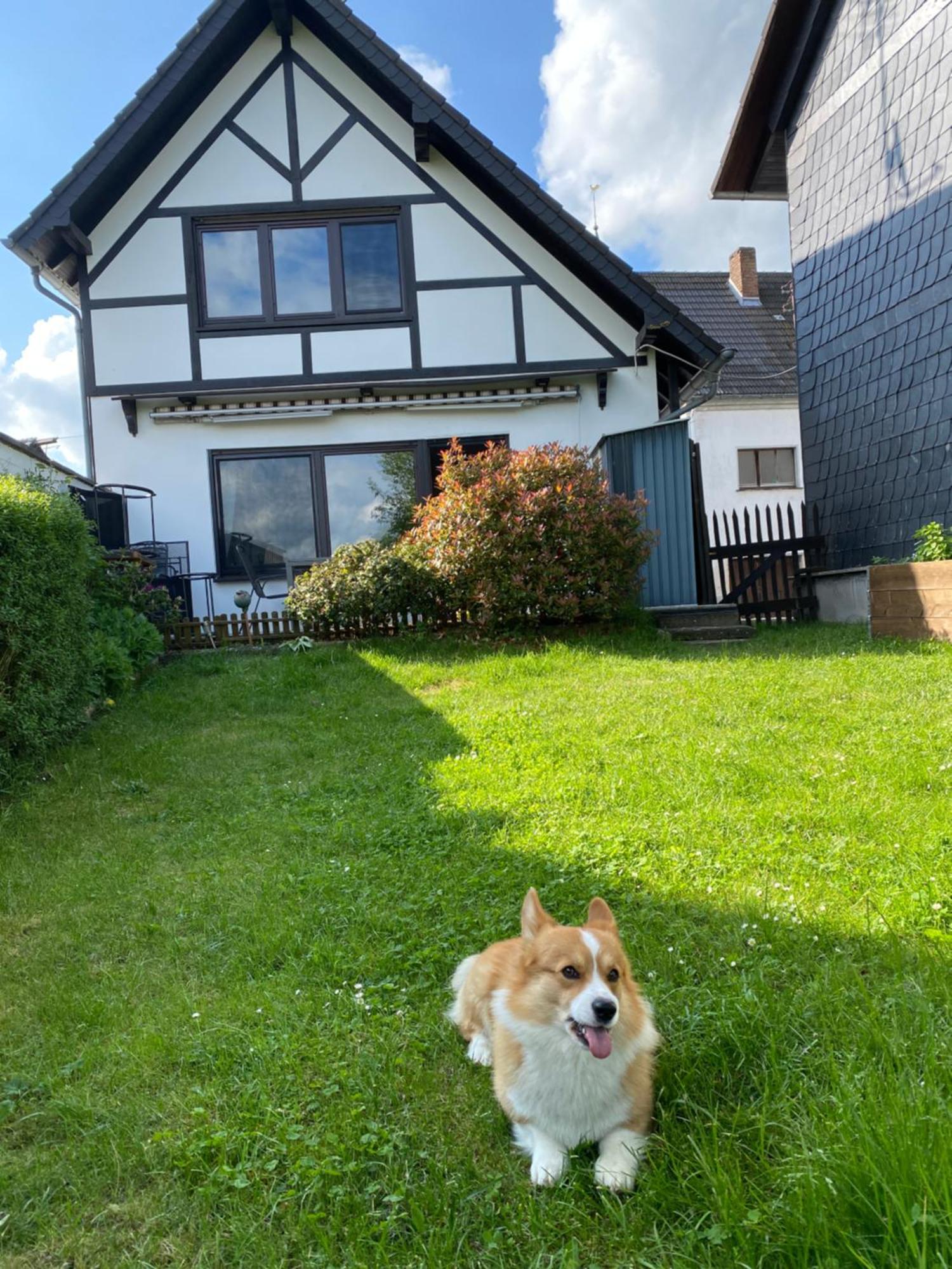 Eifel Ferienhaus Luna Ohlenhard Eksteriør billede