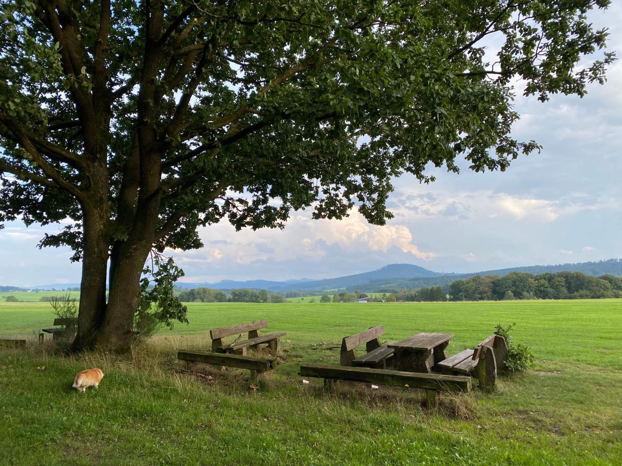 Eifel Ferienhaus Luna Ohlenhard Eksteriør billede